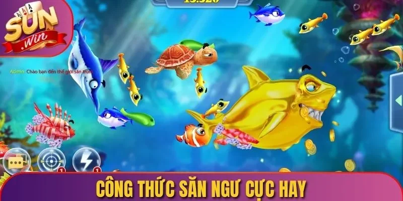 Công thức săn ngư cực hay