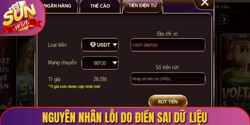 Nguyên nhân lỗi do điền sai dữ liệu